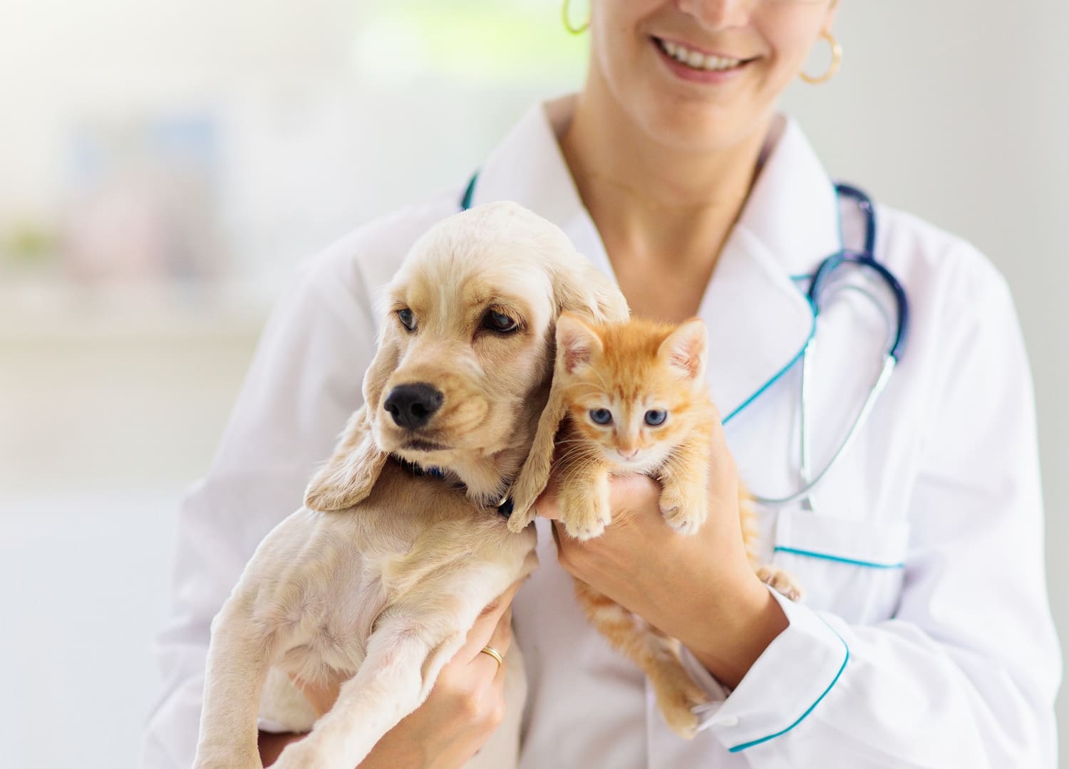 Pets-and-pet-care